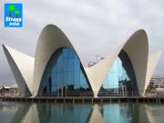 Oceanográfico. Valencia, Comunidad Valenciana